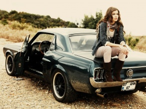         ,   ,   , Girls&Cars (523)